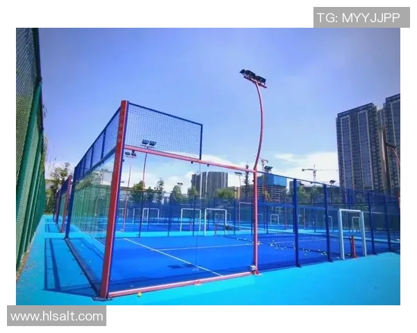 成都网球队的反击策略与训练揭秘深度分析网球竞技的魅力与挑战