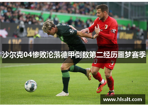沙尔克04惨败沦落德甲倒数第二经历噩梦赛季