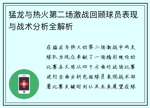 猛龙与热火第二场激战回顾球员表现与战术分析全解析